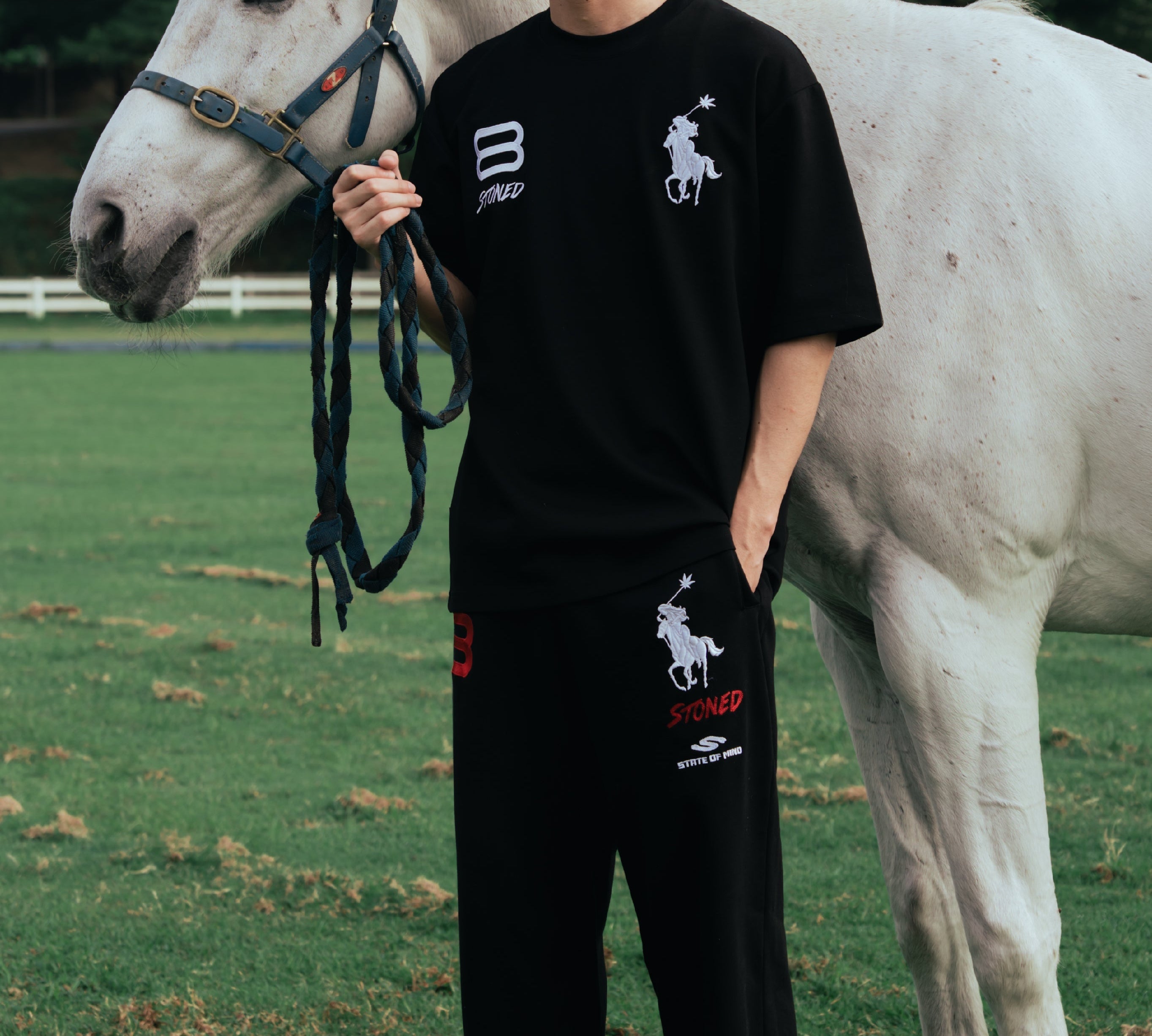 DARK HORSE POLO SERIES