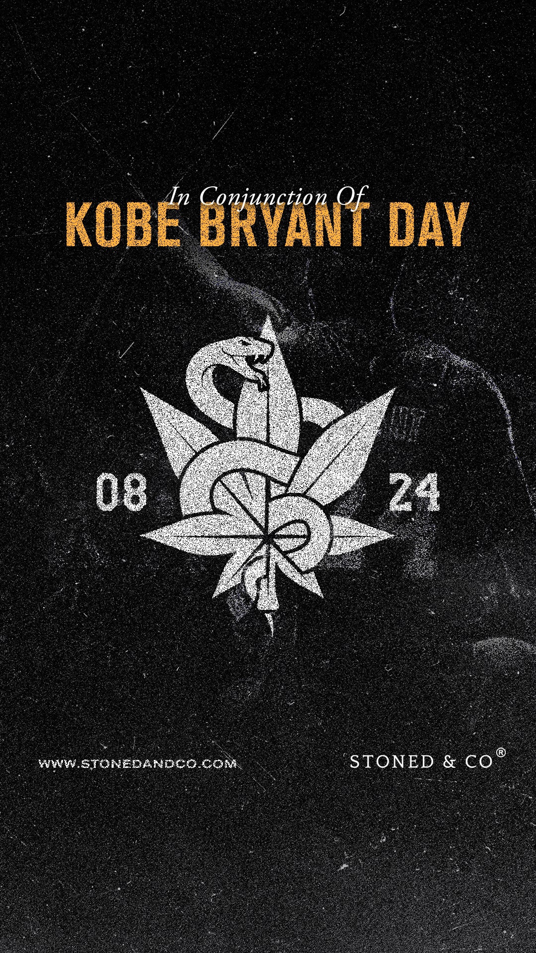 mamba day august 24