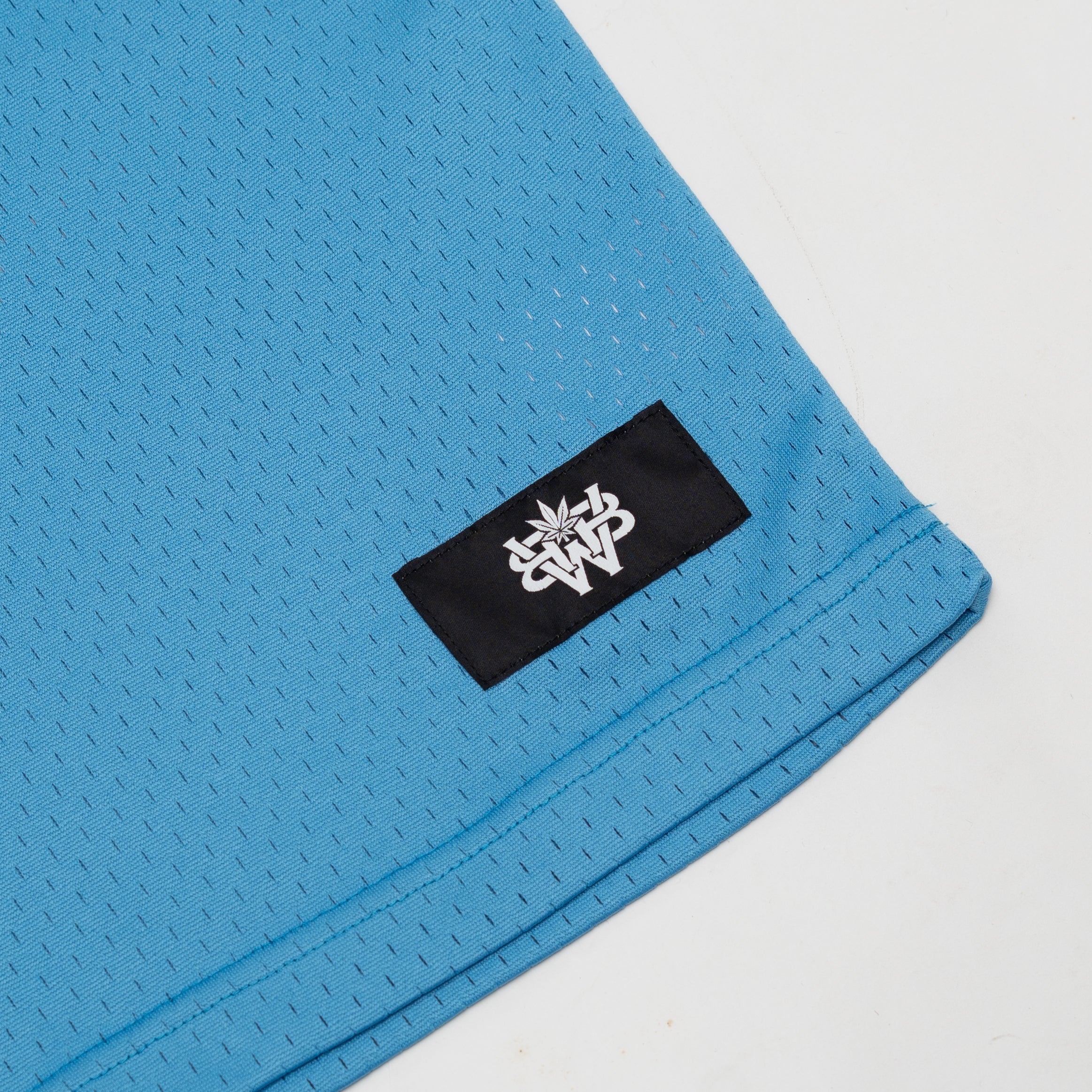 WBB25 : Icon Mesh Jersey Blue
